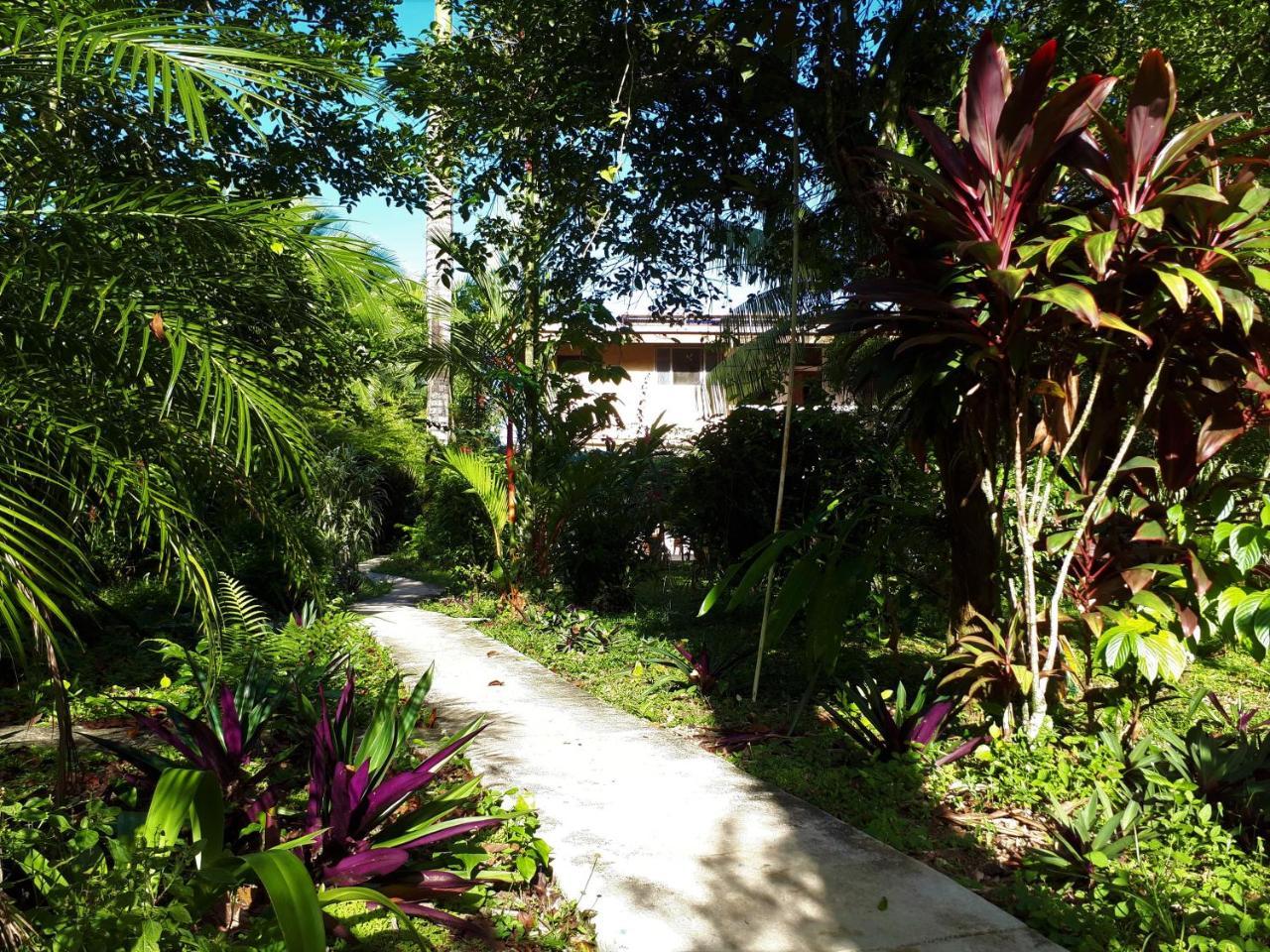 Playa Bluff Lodge Bocas del Toro Exterior photo